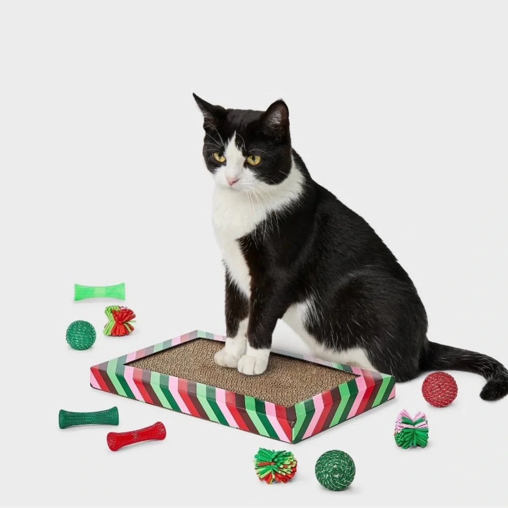 Cat Scratch Pad and Ball Toy Set - 10pcs - Boots & Barkley™